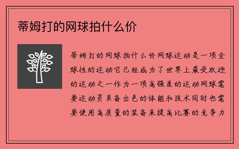 蒂姆打的网球拍什么价