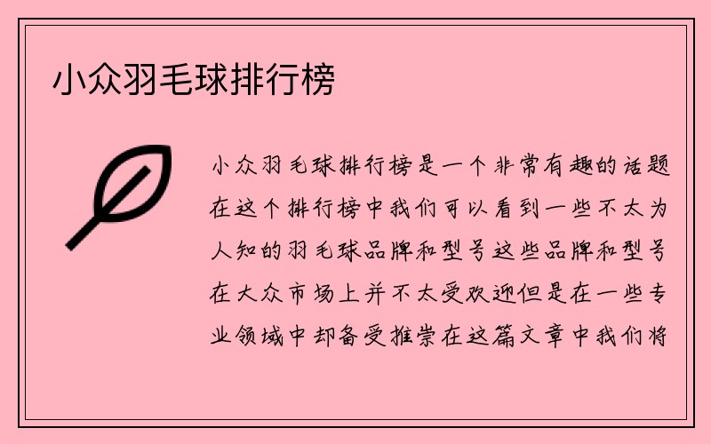 小众羽毛球排行榜